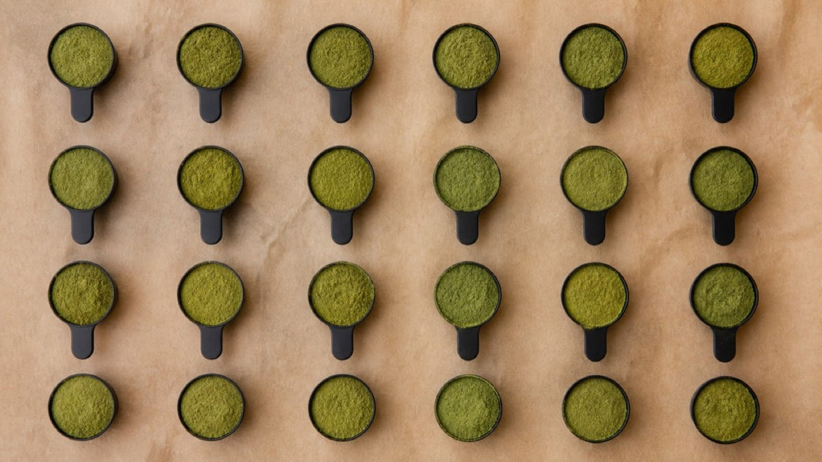 Twenty-four measured scoops laid out in a grid