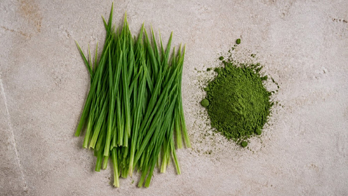 Juiced grass beats milled grass